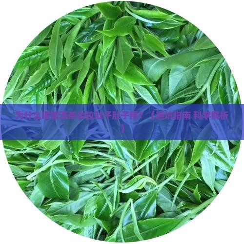 喝普洱茶拉肚子肚子疼 喝普洱茶拉肚子肚子疼