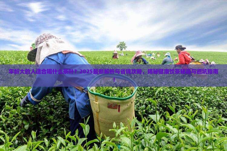 年龄大的人适合喝什么茶叶