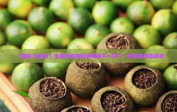 茶叶分生茶和熟茶是什么个意思