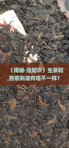 茶叶分生茶和熟茶是什么个意思