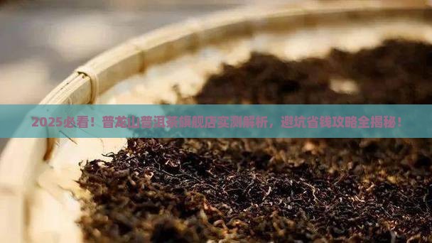 普龙山普洱茶旗舰店怎么样