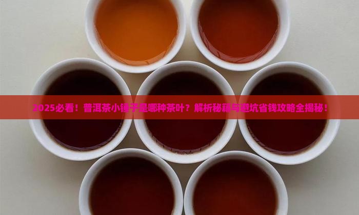 普洱茶小锤子是什么茶叶