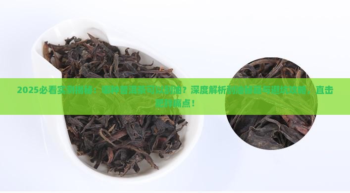 哪种普洱茶可以刮油