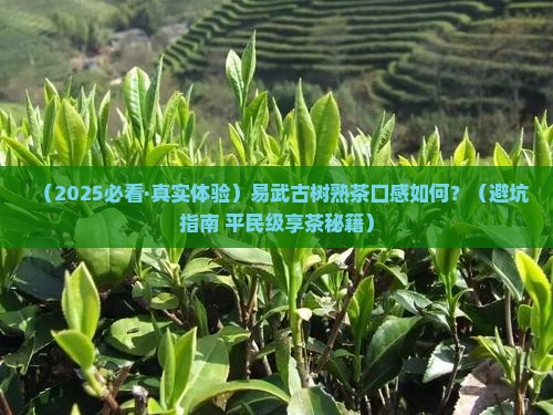 易武印象古树普洱茶熟茶