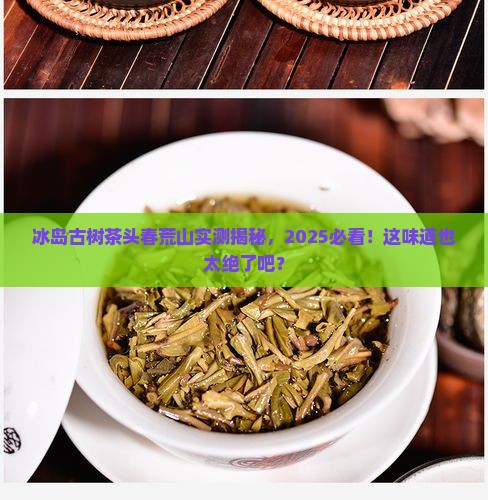冰岛古树茶头春荒山 冰岛古树茶头春荒山