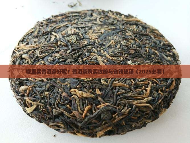 在哪里买普洱茶好呢 在哪里买普洱茶好呢