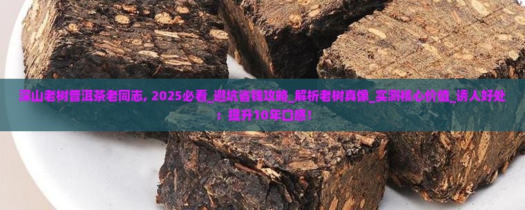 深山老树普洱茶老同志