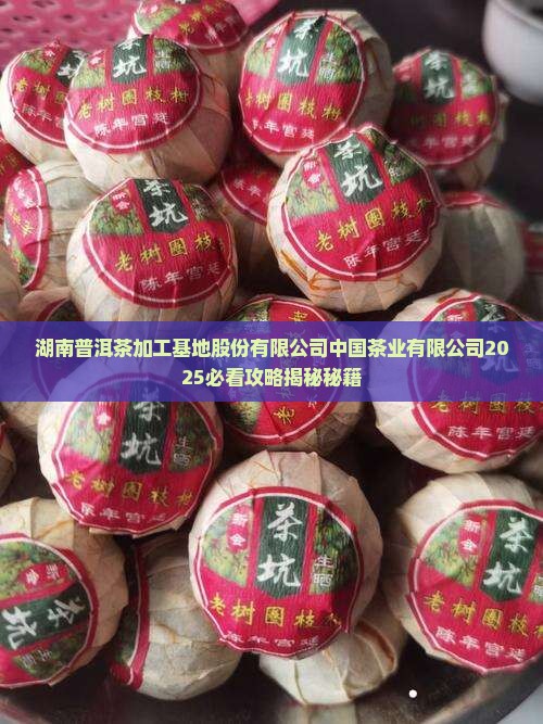 湖南富硒普洱茶加工基地