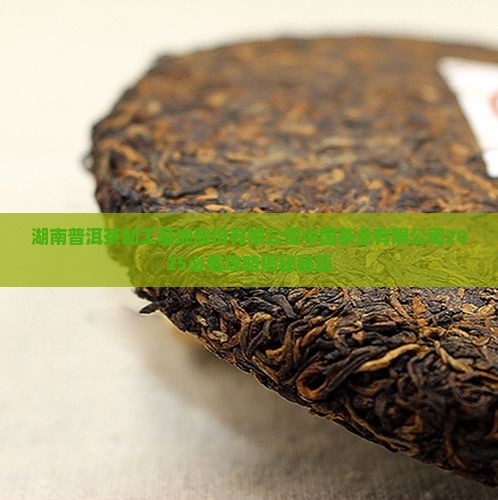 湖南富硒普洱茶加工基地