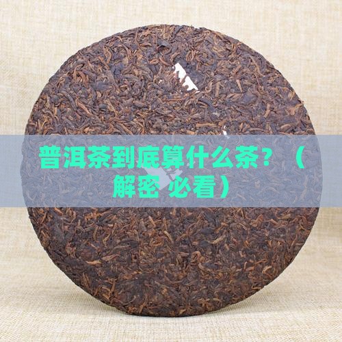 普洱茶是属于什么茶中