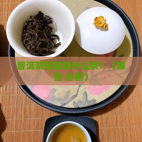 普洱茶是属于什么茶中