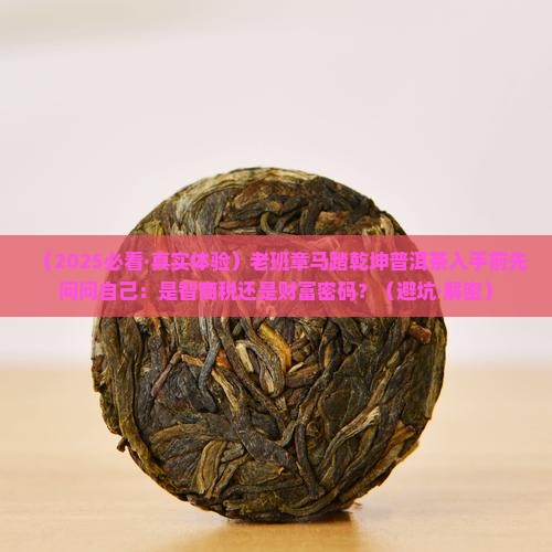 老班章马踏乾坤普洱茶