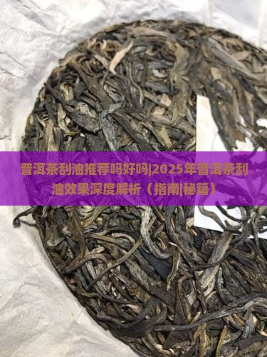 普洱茶刮油推荐吗好吗