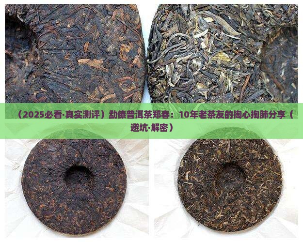 勐傣普洱茶郑春
