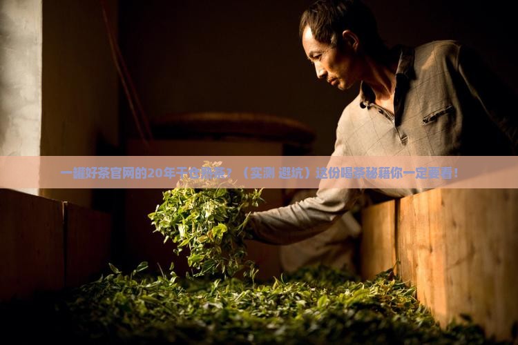 一罐好茶官网20年干仓熟茶