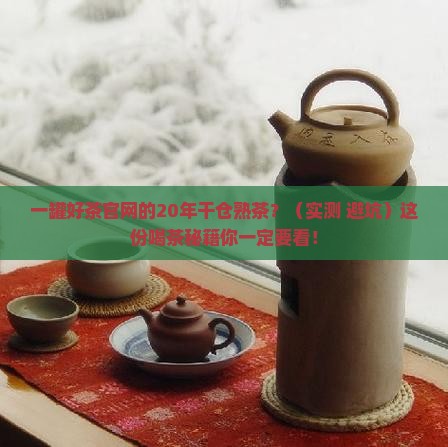 一罐好茶官网20年干仓熟茶