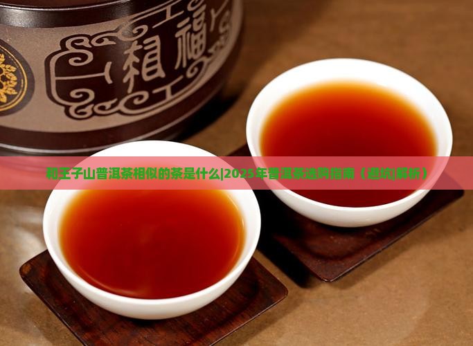 和王子山普洱茶相似的茶是什么