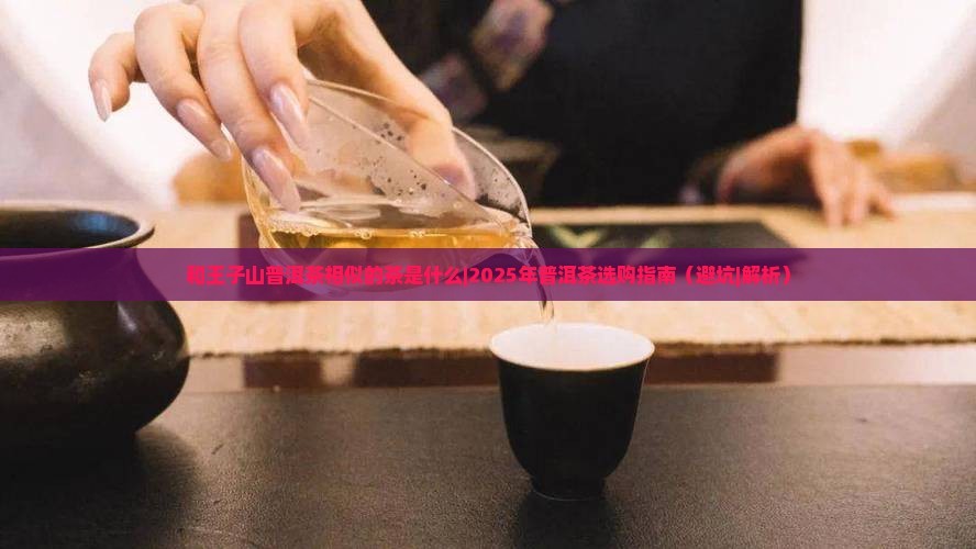 和王子山普洱茶相似的茶是什么