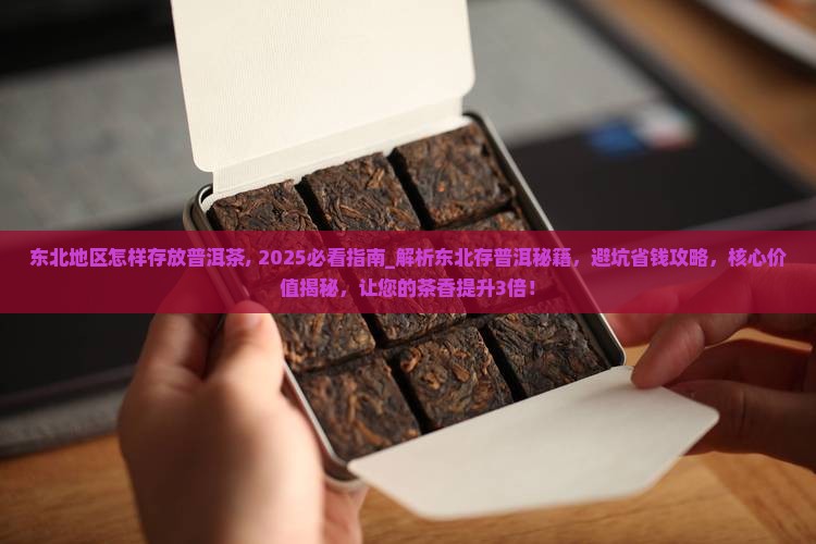 东北地区怎样存放普洱茶