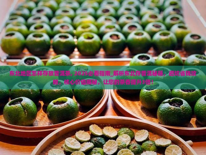 东北地区怎样存放普洱茶
