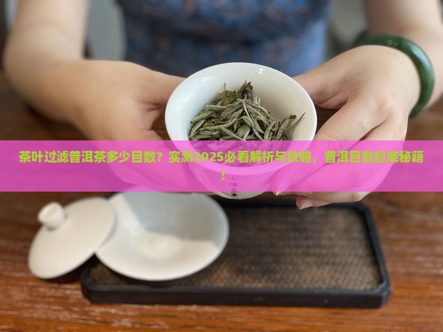普洱茶分筛的筛网是几目的