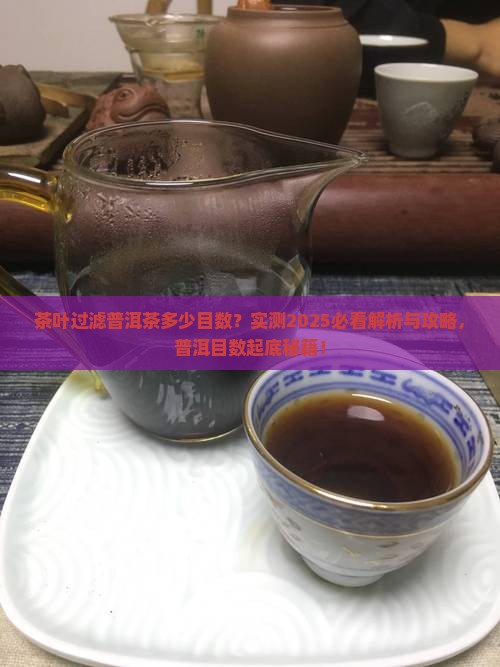 普洱茶分筛的筛网是几目的