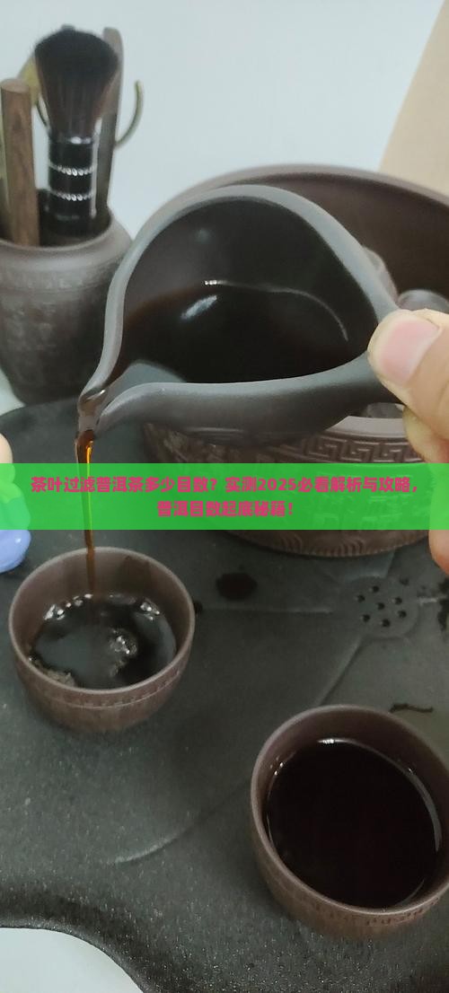 普洱茶分筛的筛网是几目的