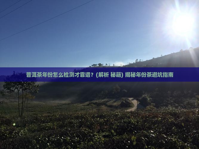 普洱茶年份怎么检测的好 普洱茶年份怎么检测的好