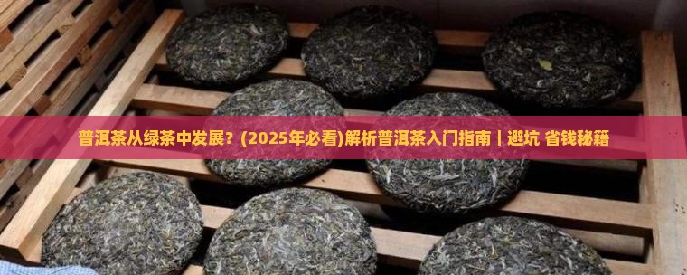 普洱茶从绿茶中发展
