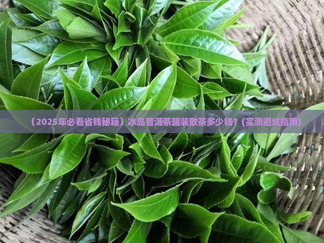 冰岛普洱茶罐装散茶多少钱