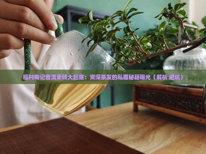福村梅记压箱底普洱素砖
