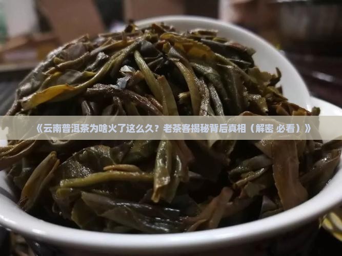 云南普洱茶为什么火了那么久 云南普洱茶为什么火了那么久
