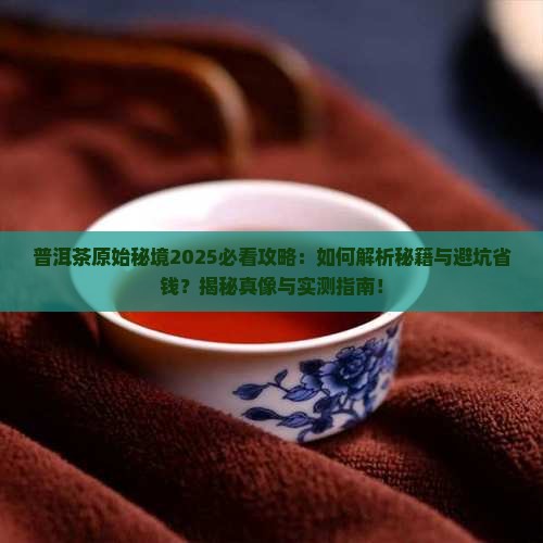 普洱茶原始秘境