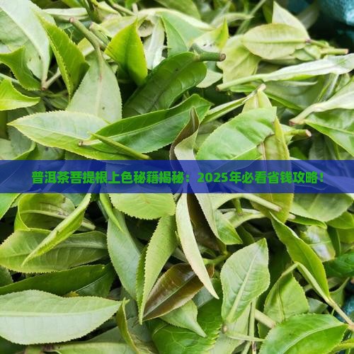 普洱茶菩提根上色