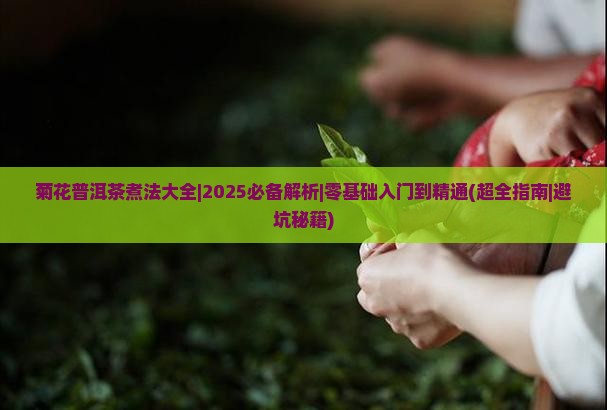 菊花普洱茶煮法大全