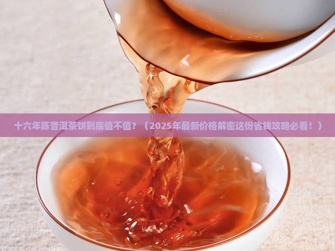十六年普洱茶饼价格多少钱