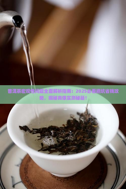 普洱茶的宏观性问题