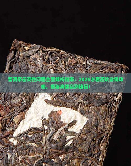 普洱茶的宏观性问题