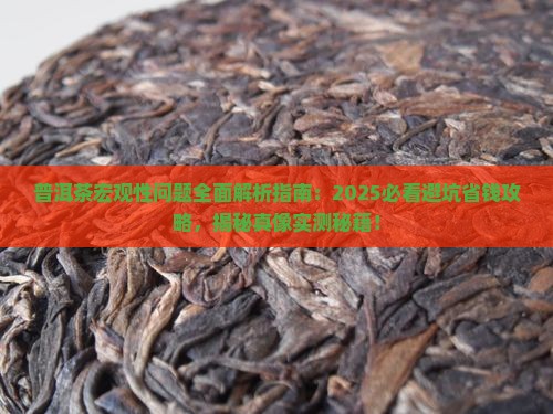 普洱茶的宏观性问题