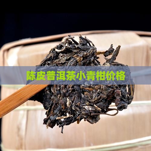 陈皮普洱茶小青柑价格