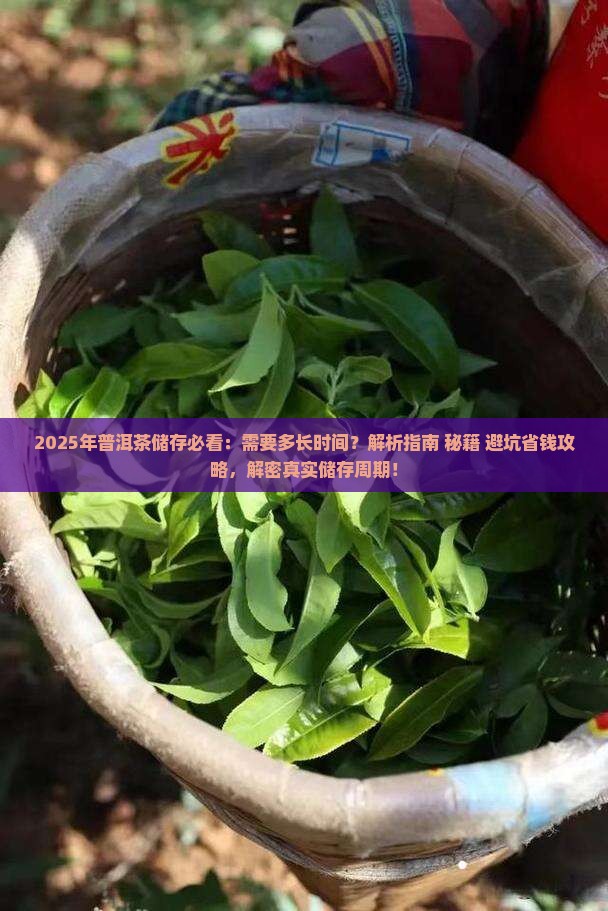 普洱茶储存需要多长时间