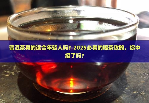 普洱茶适合青年人
