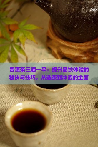 普洱茶三通一平