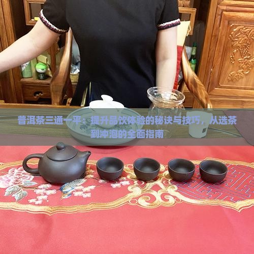 普洱茶三通一平