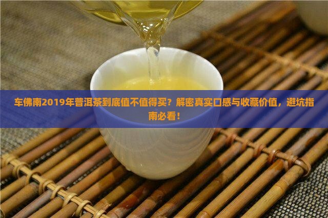 车佛南2019年普洱茶