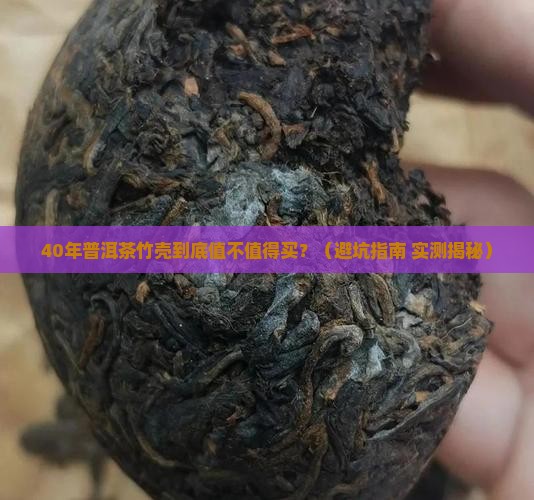 40年普洱茶竹壳