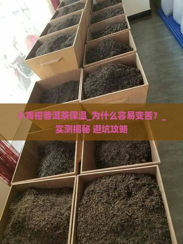 小青柑普洱茶保温