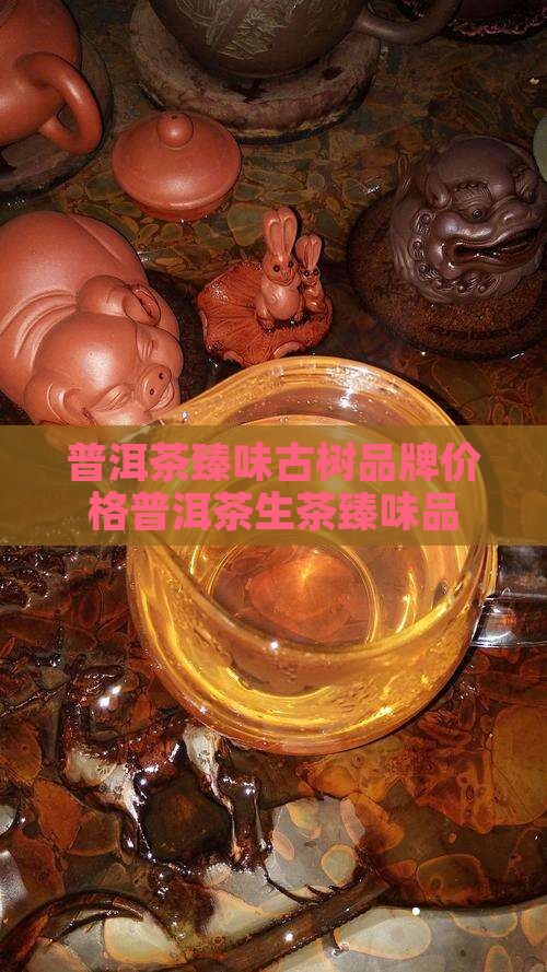 普洱茶生茶臻味品