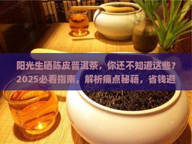 阳光生晒陈皮普洱茶