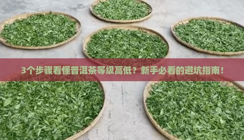普洱茶等级高低